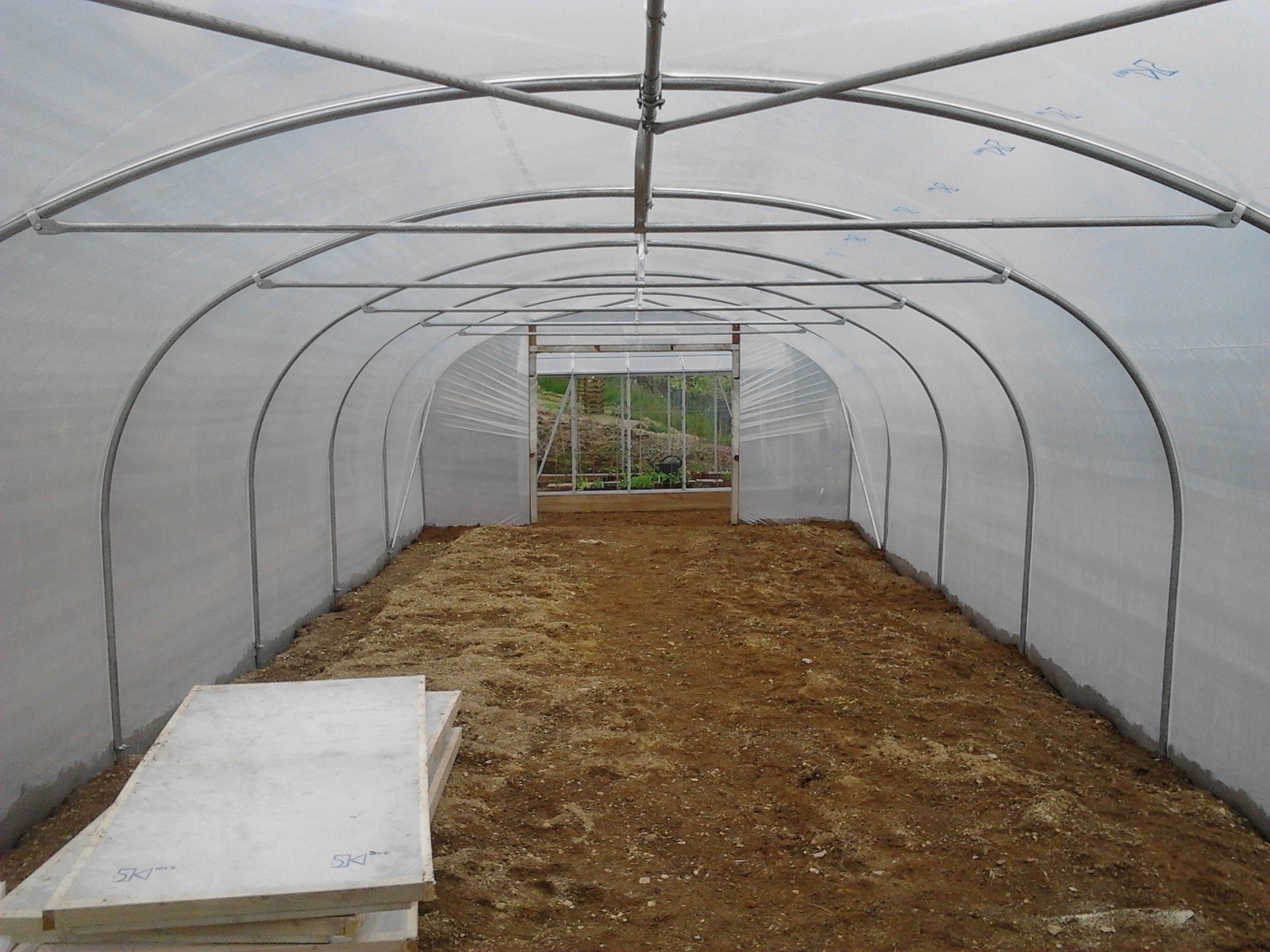 polytunnel 14 x 42 for a nursery, inside view - Five Star Polytunnels