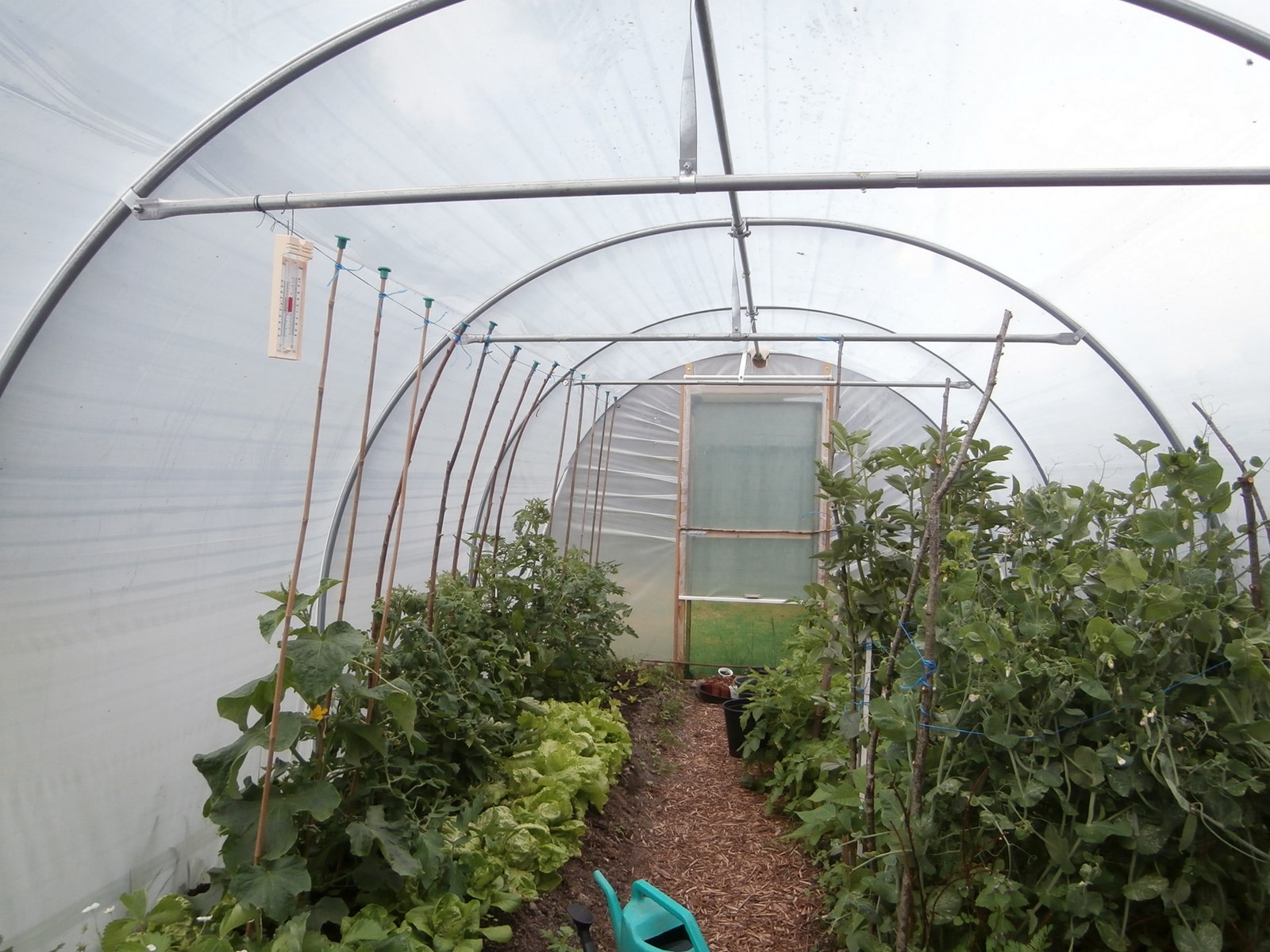 five star polytunnels 10 x 25 inside john knell - Five Star Polytunnels