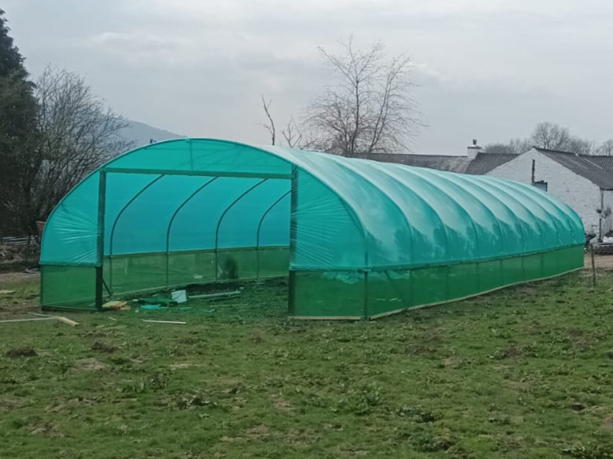 Livestock Shelters Archives - Five Star Polytunnels